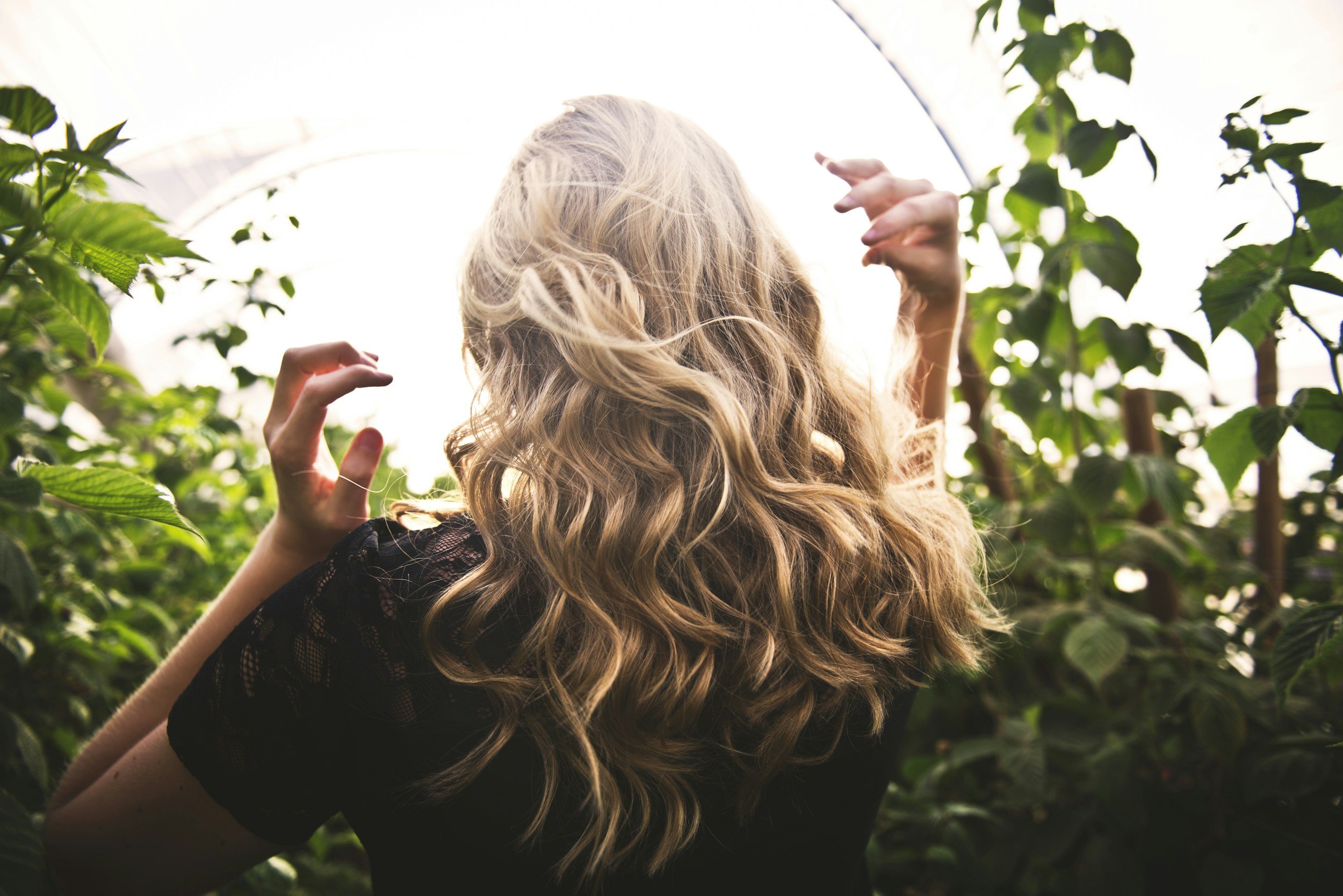 beach waves